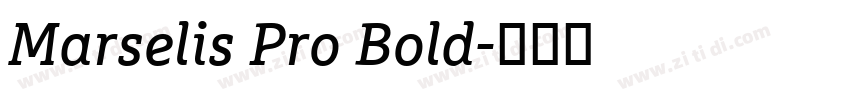 Marselis Pro Bold字体转换